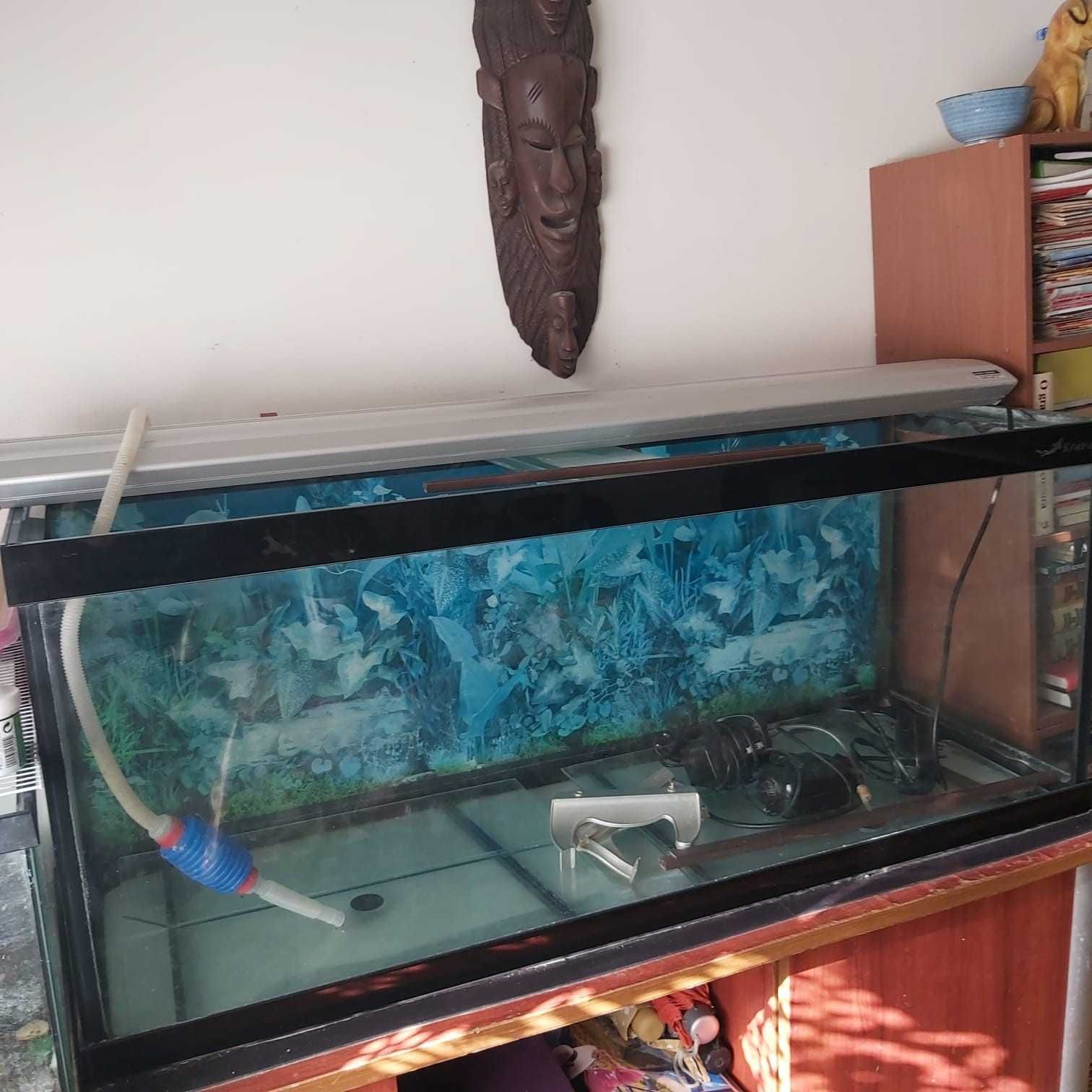 Aquario + acessórios