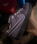nike dunk sb lobster