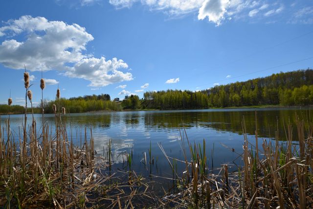 Działka 6,1 ha - prywatne jezioro Ulkowy.