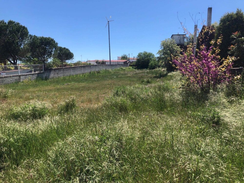 Terreno - Lote 1400 m2 - Vilar Formoso