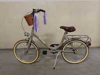 Bicicleta Adriatica nova