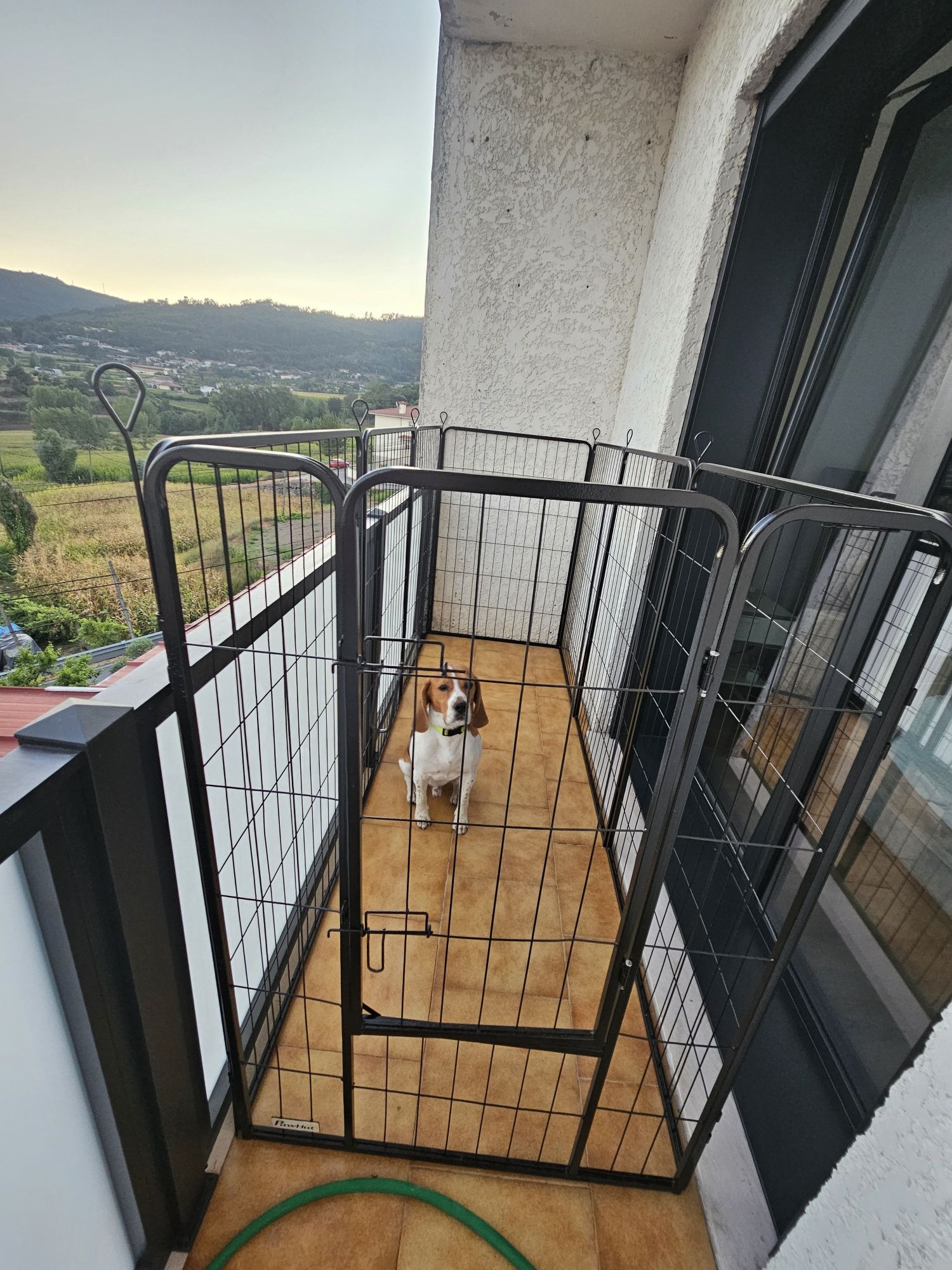 Parque para animais