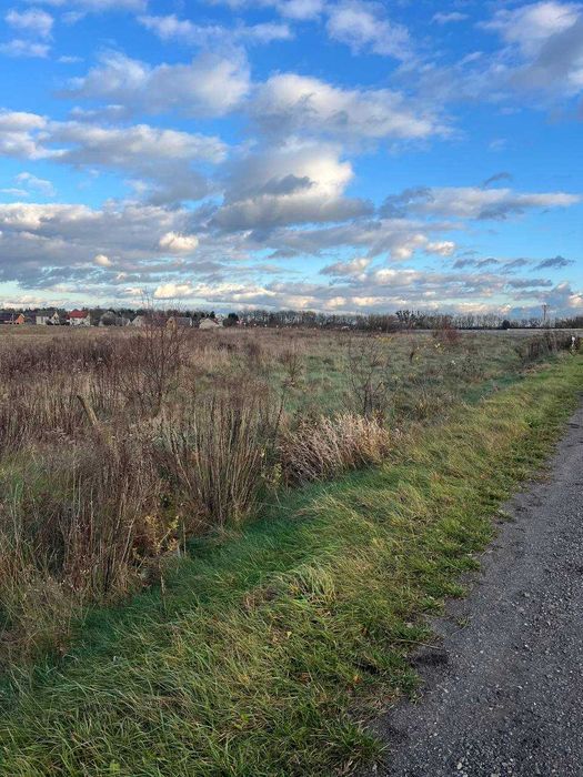 Земельна ділянка 142 сотих в Прилуцьку фасадна