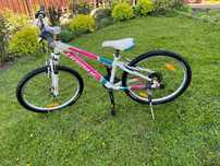 Rower   haibike.