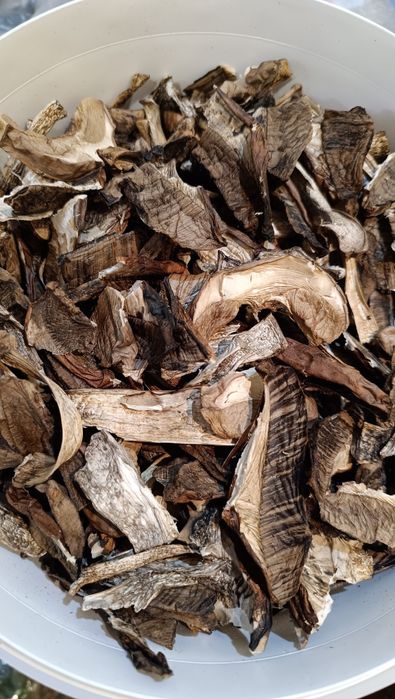 Гарбузове насіння, сухі гриби, мариновані гриби, капсули