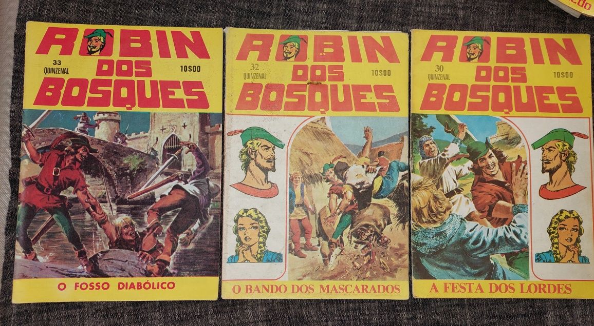 Robin dos Bosques _ BD