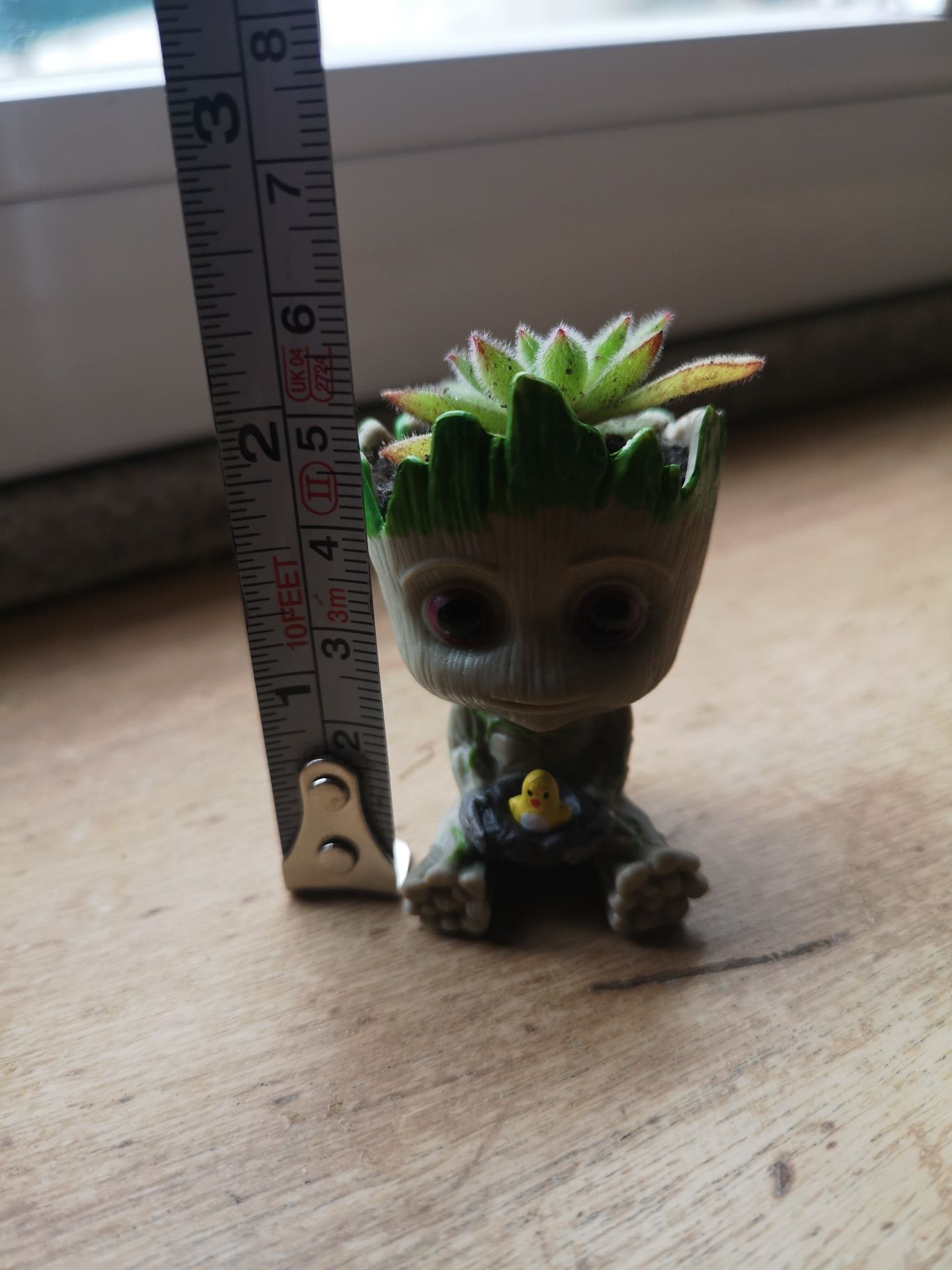 Vaso boneco com suculenta