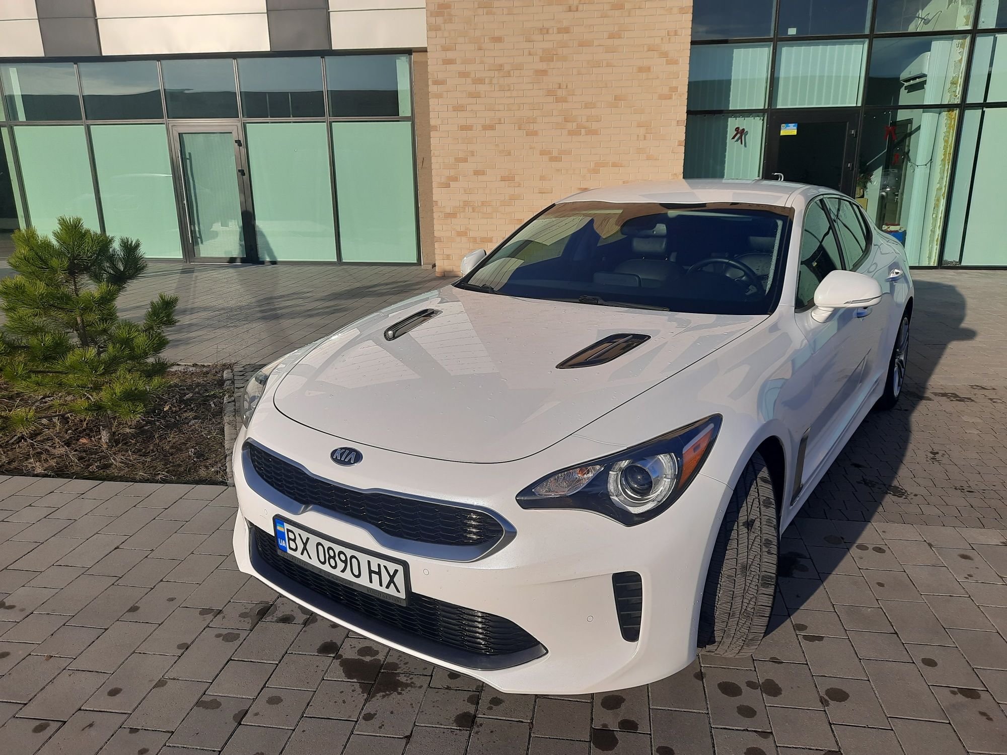 Kia Stinger,Кіа Стінгер,Киа Стингер