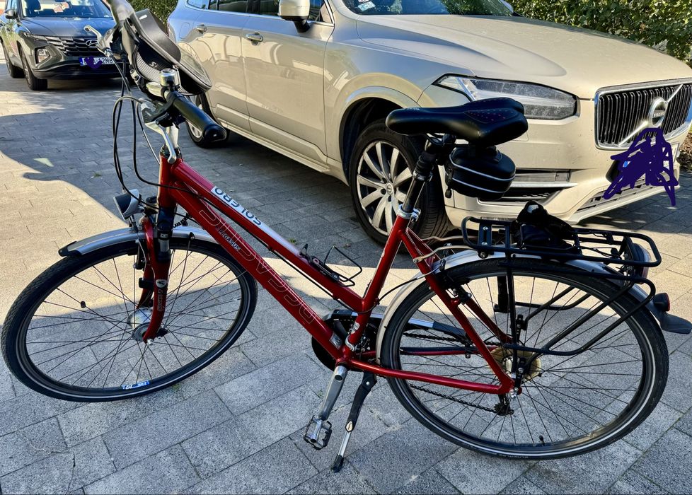 Rower trekkingowy Pegasus Solero rozm. 53
