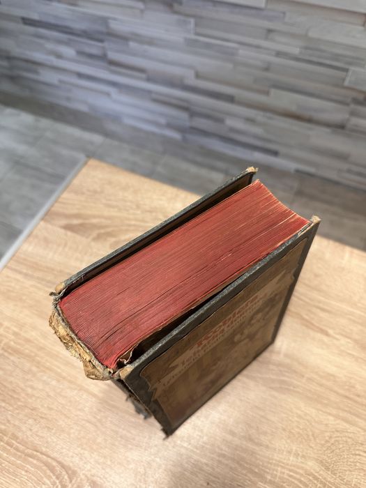 Kobieta lekarką domową. Wiedeń 1909, Anna Fischer-Duckelmann