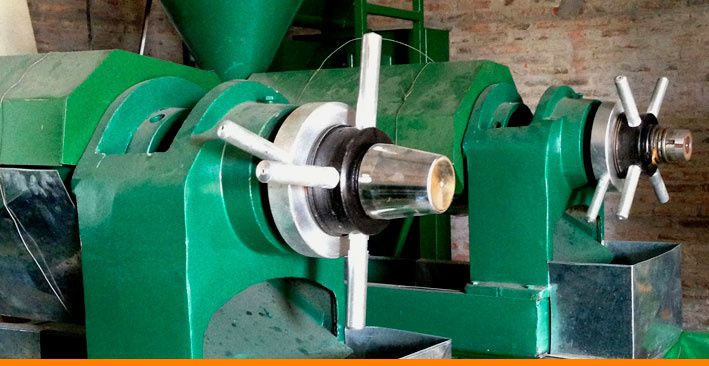 Масло Пресс , Маслопресс 3DLG-165