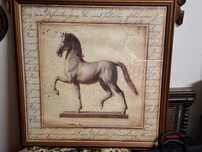 Quadro de cavalo