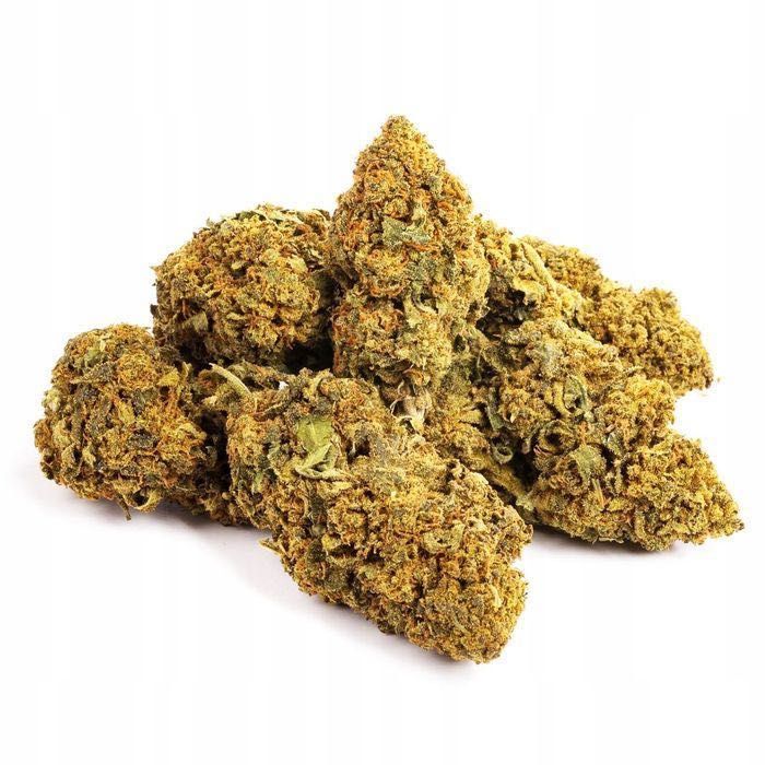 500G Susz CBD Blueberry Haze 0,20%  Susz konopny