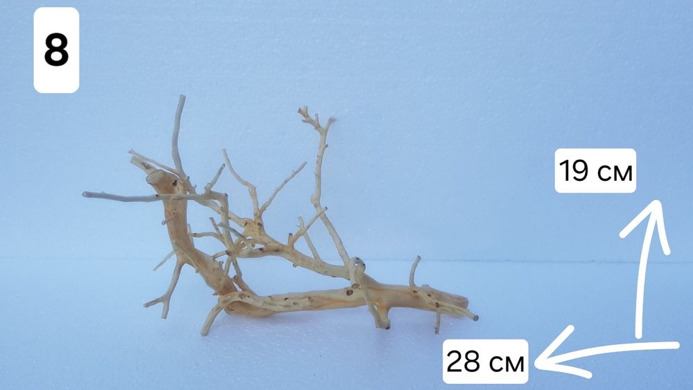 Акваріумні коряги