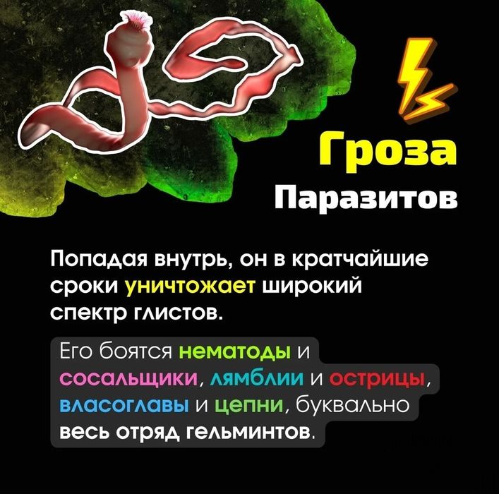 Грецкий черный орех  Blаck Wаlnut