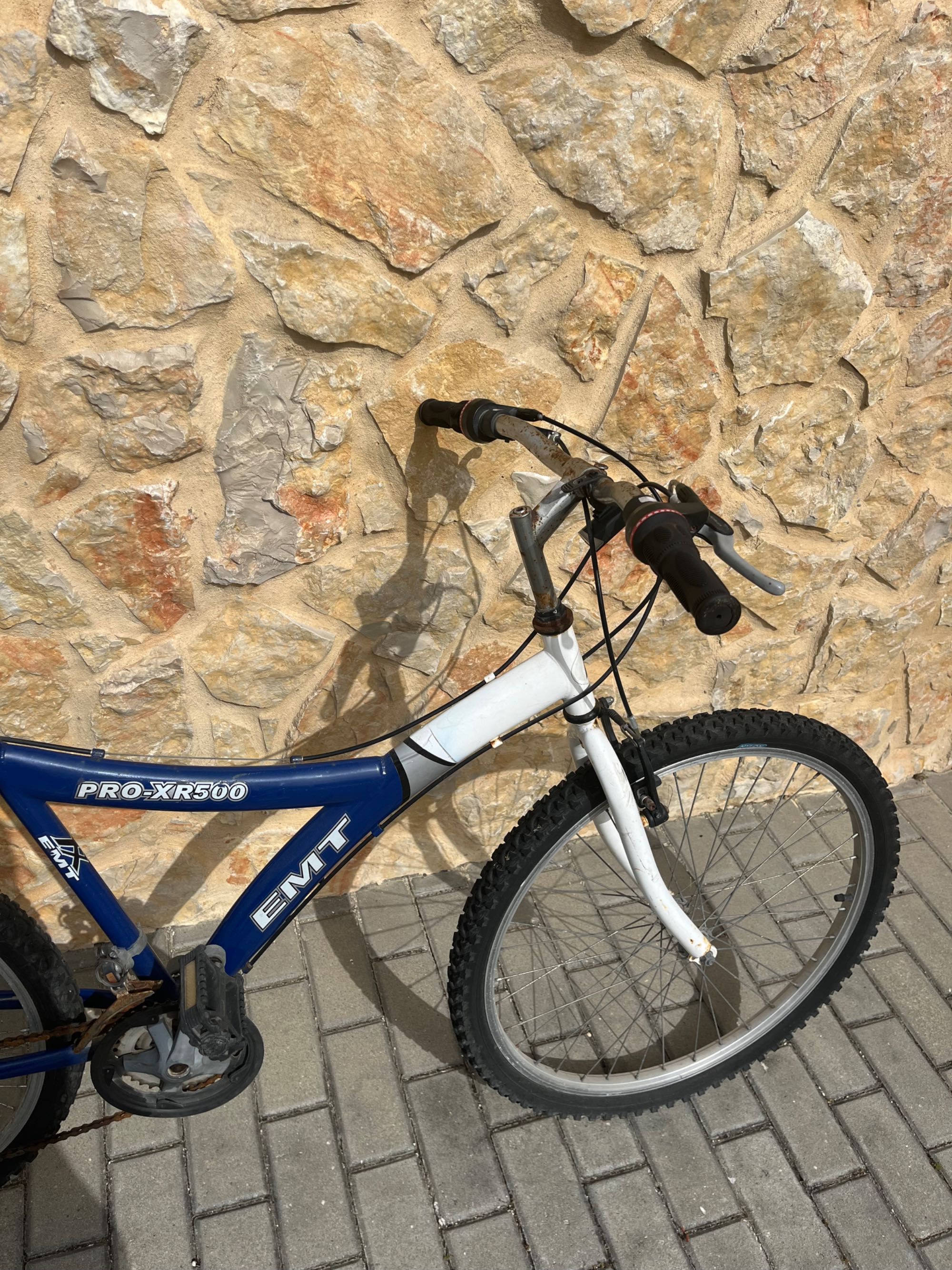 Bicicleta EMT pro-xr500