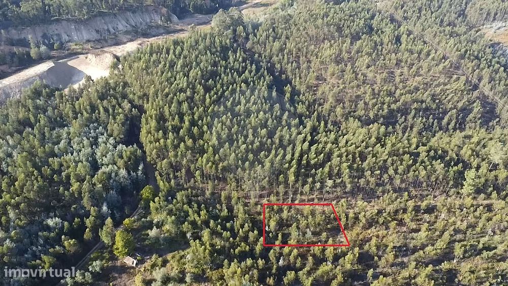 Terreno  para venda