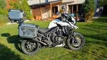 Triumph Tiger Niski przebieg