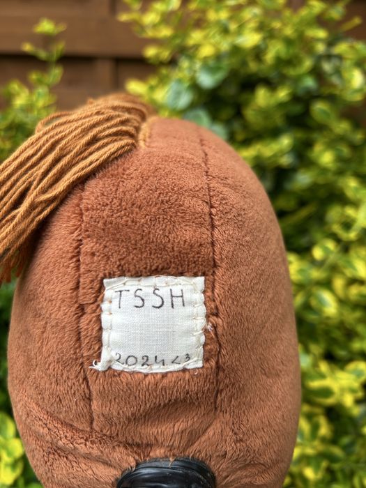 Konik hobby horse rudy