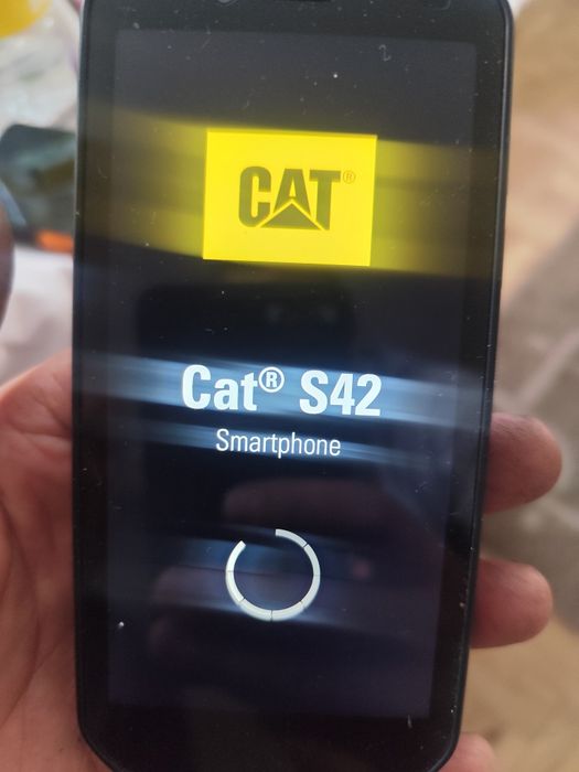 Telefon cat  s42