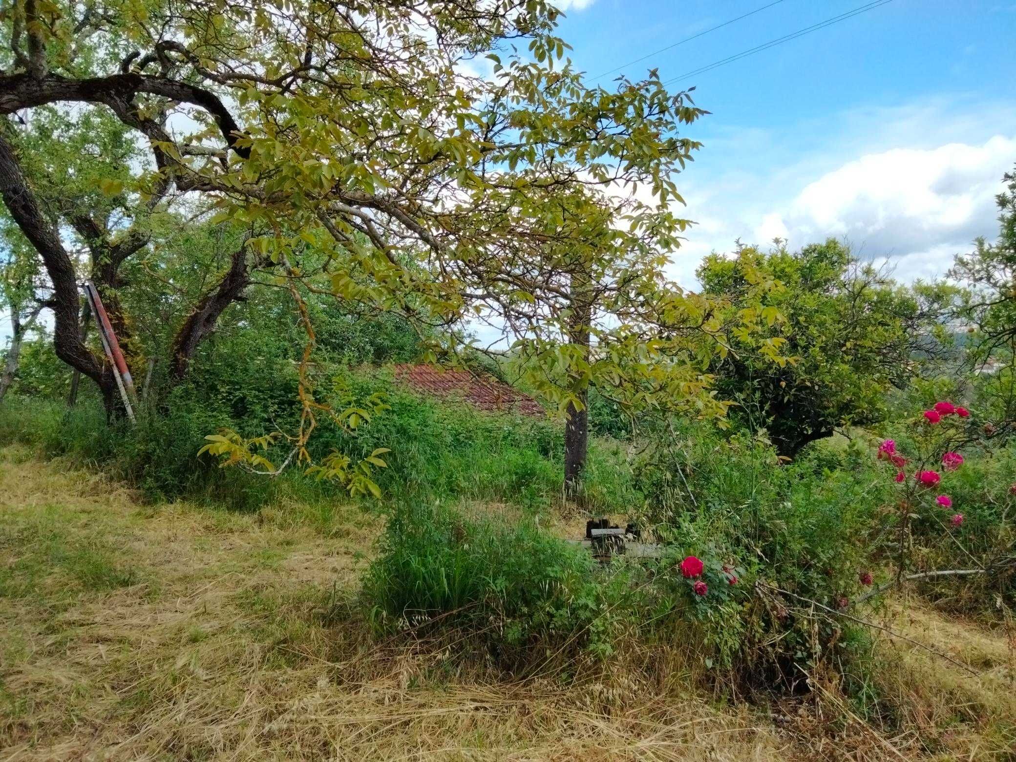 Pequena quinta junto à cidade de Pombal