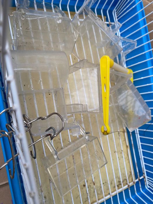 Gaiola pássaros com bebedouros e comedores