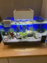 Akwarium Fluval Edge 23 litry