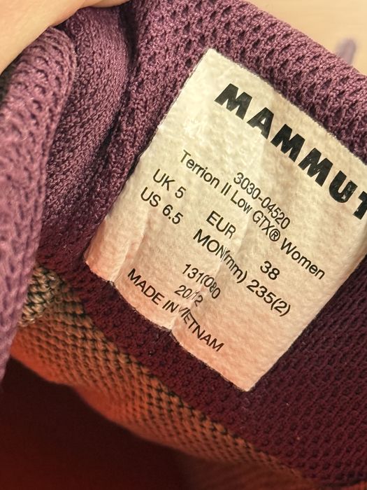 кросівки Mammut Terrion GTX