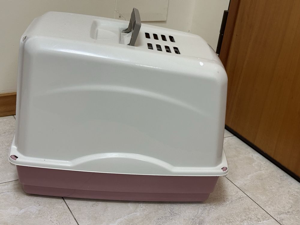 Caixa de areia para gato