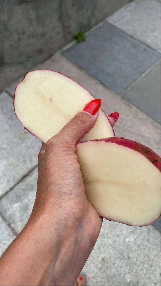 Batata vermelha