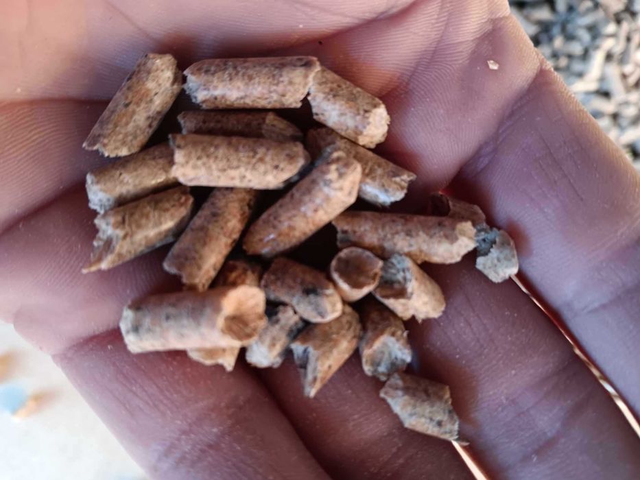 Pellet drzewny / Brykiet