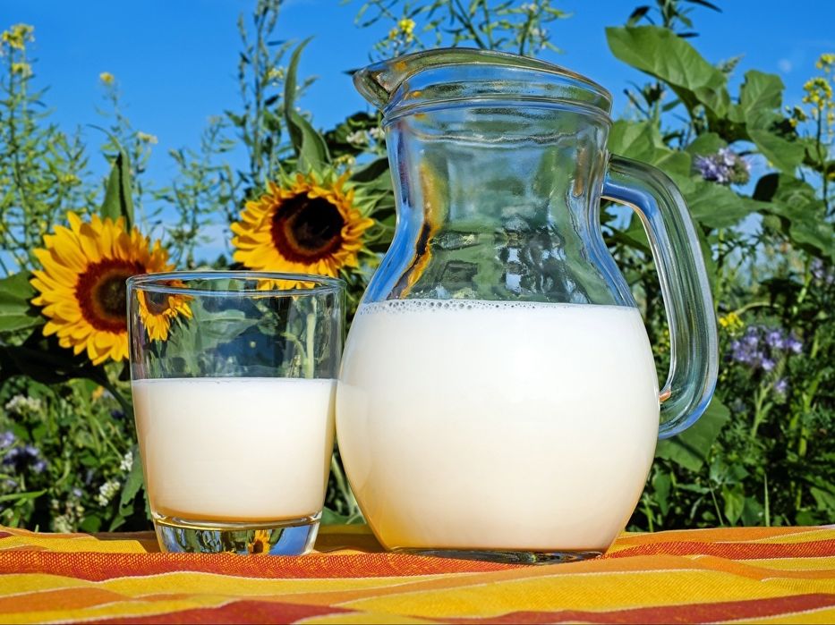 козье молоко и творог