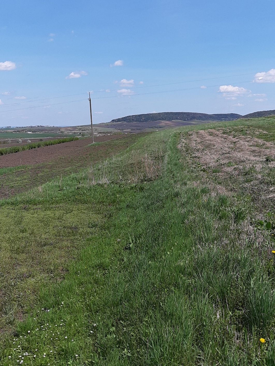 Земельна ділянка. з будинком .