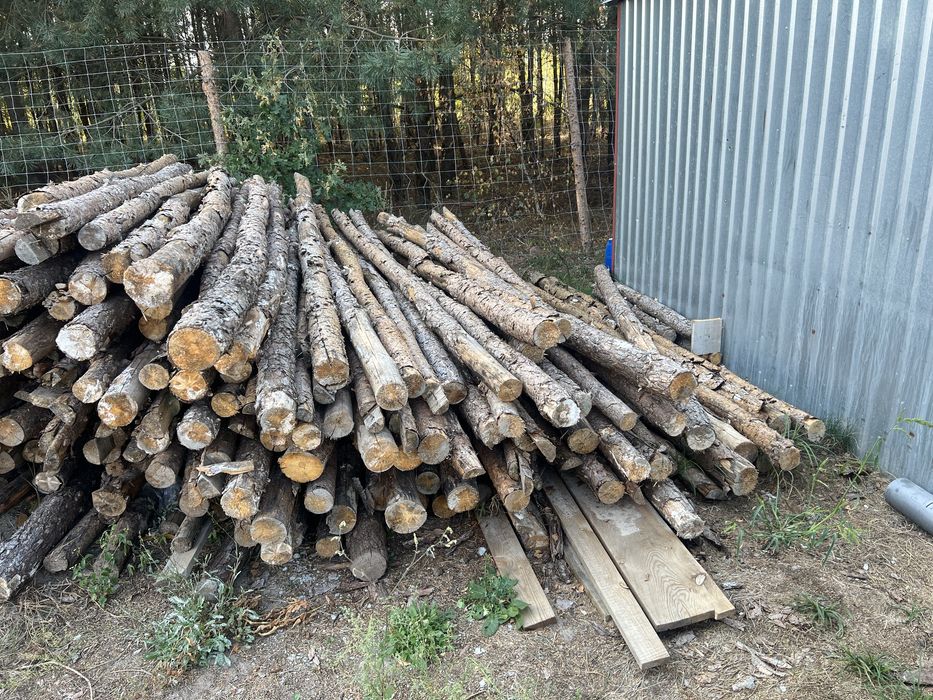 Stemple budowlane szt.ok.220