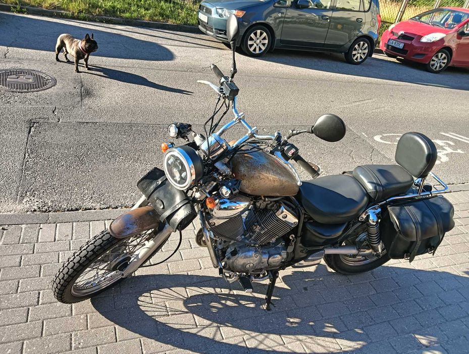 Yamaha Virago 535 "Mad Max" po serwisie