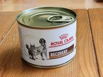 Royal Canin Veterinary Diet Recovery puszka 195g