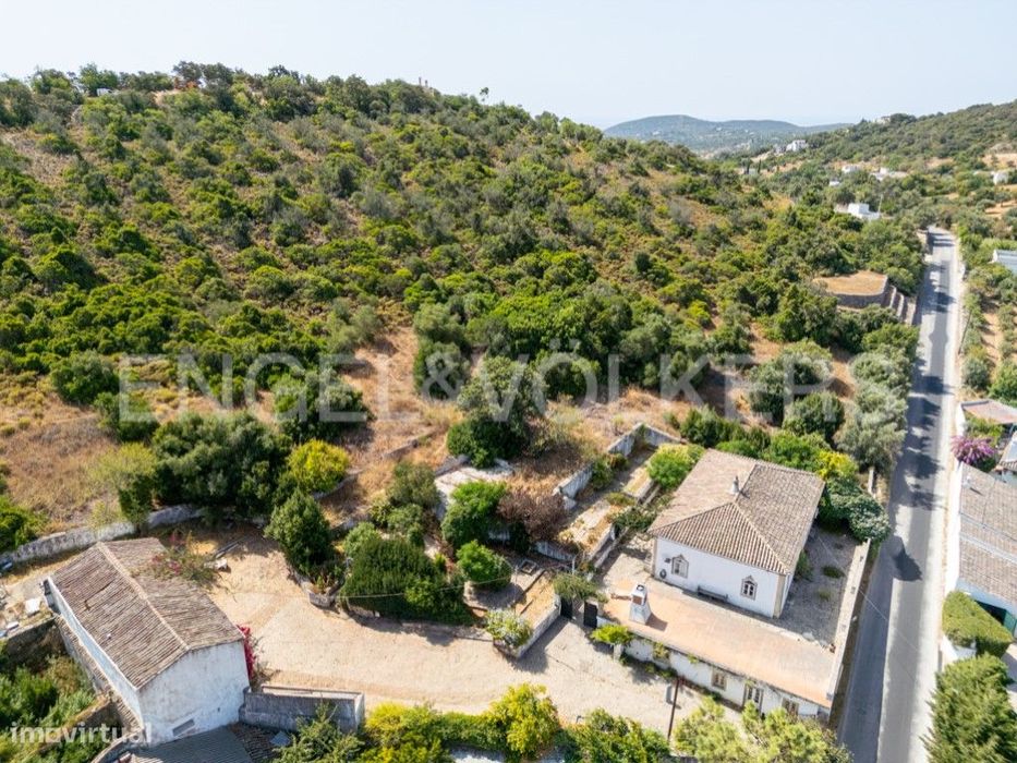 Propriedade tradicional com olival em São Brás de Alportel