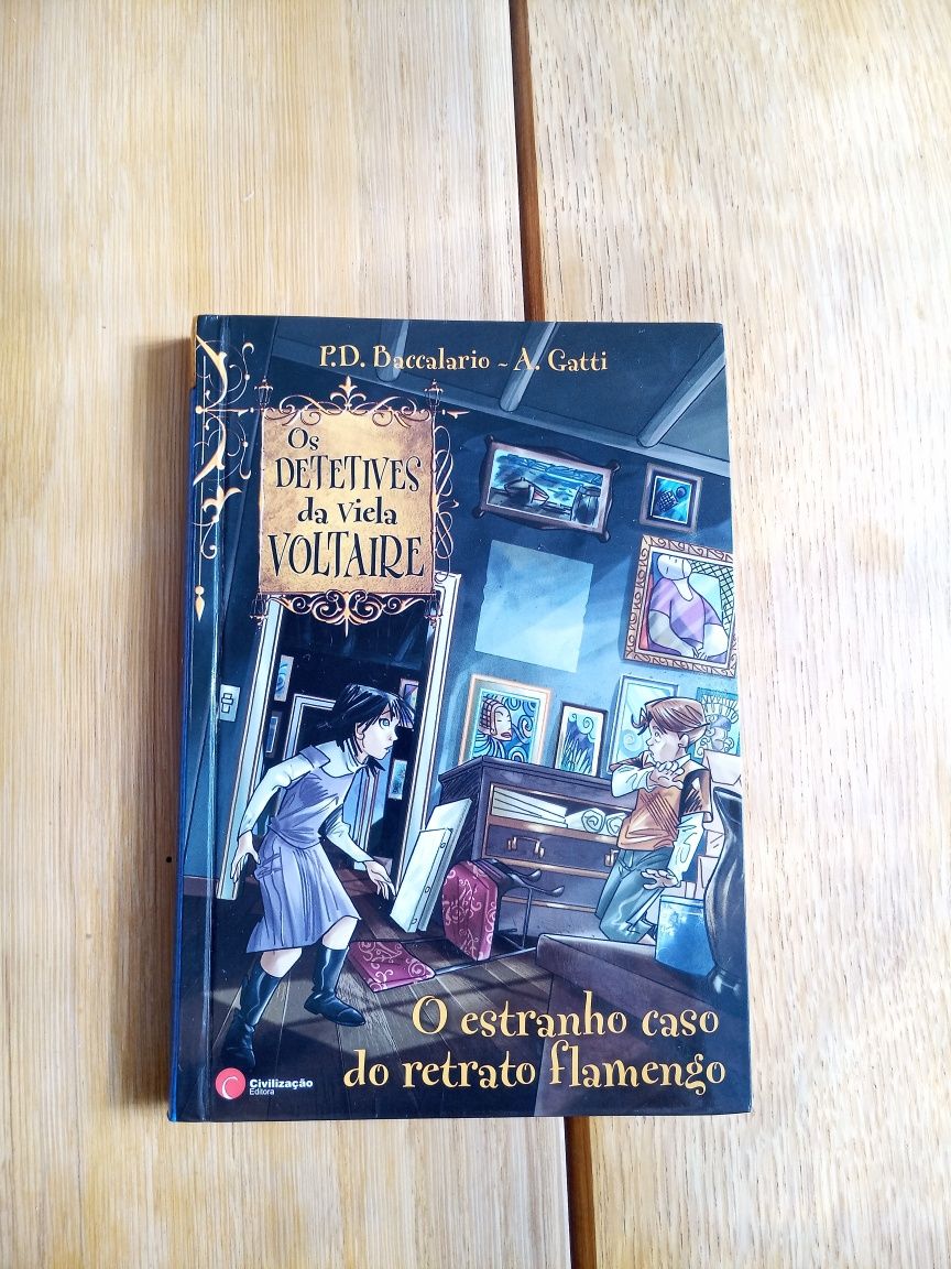 Livro Detetives Da Viela Voltaire- n°3 caso do retrato flamengo NOVO