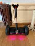 Гироскутер Мини-сигвей Mini Robot PRO