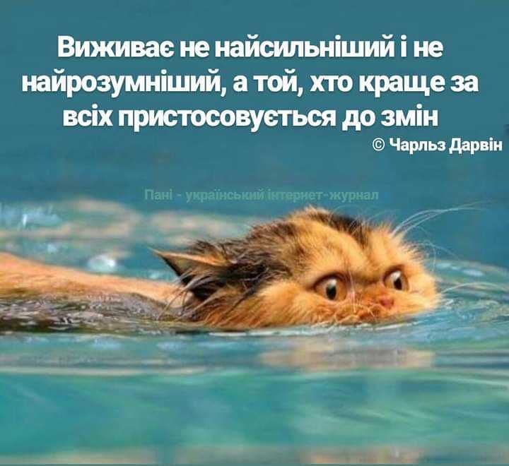 Підготовка до іститів біологія і хімія, повторення шкільного курсу