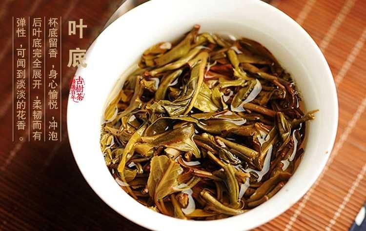 TEA Planet - Herbata PuErh Sheng prosto z Chin - dysk 357 g. z 2013 r.