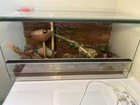 Terrarium 60x30x30