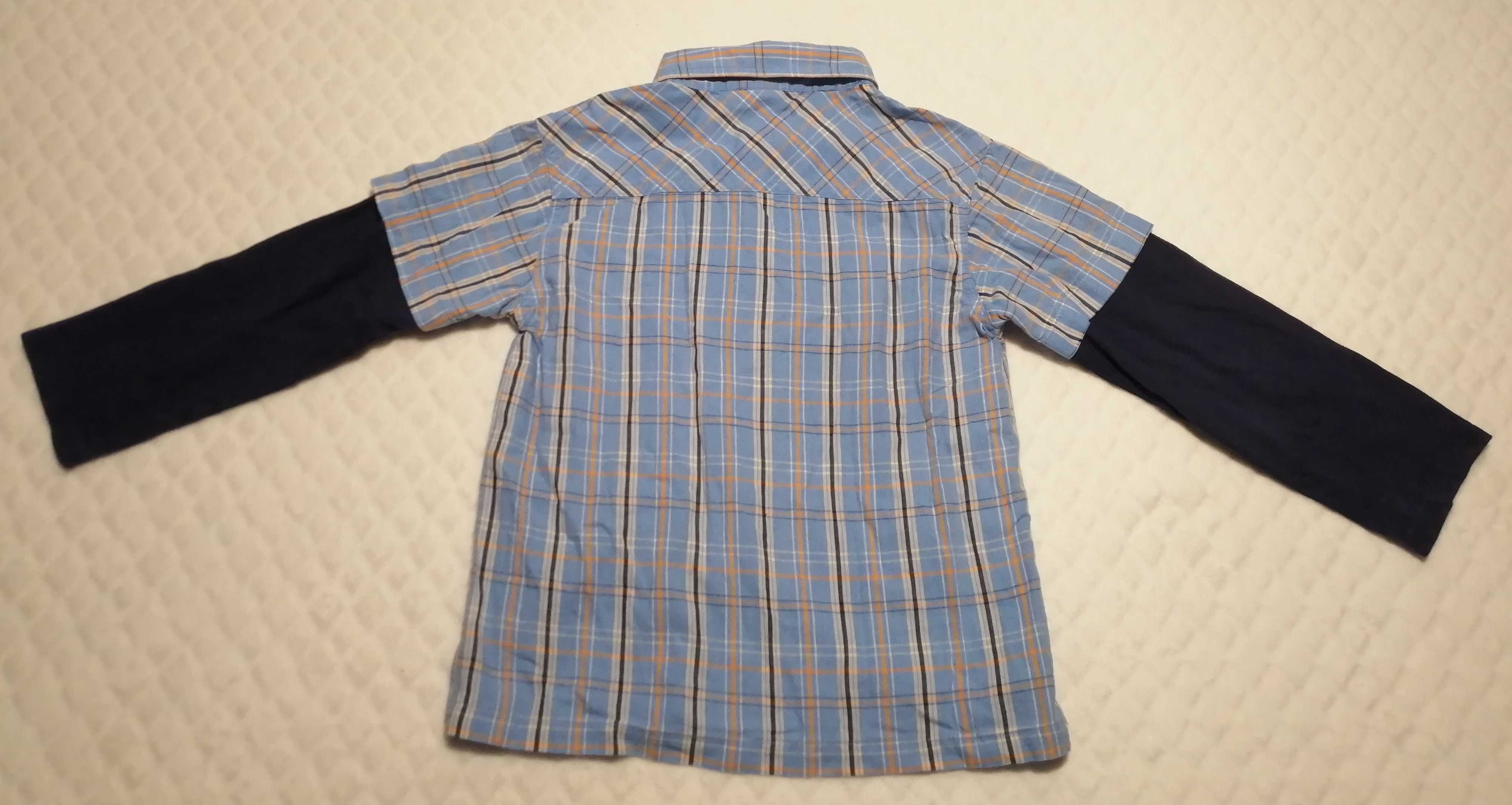 Koszula chłopięca, długi rękaw, Bob, 116, w kratkę (Odzież)