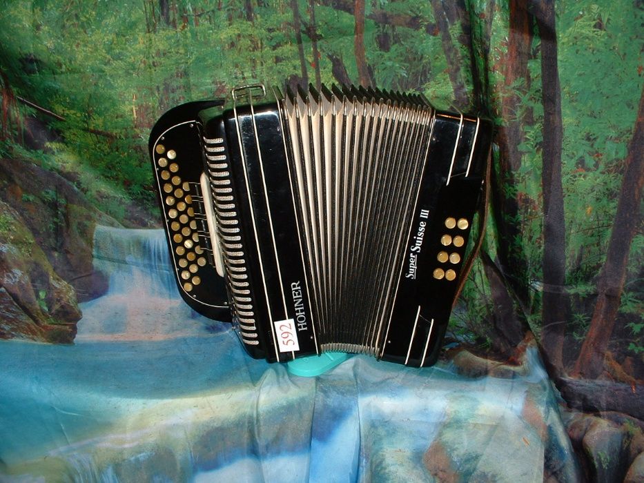 Concertina Para Venda n.592