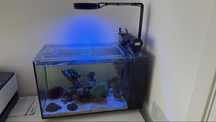 Aquário Fluval Evo 52L Aqua Ilumination 16HD
