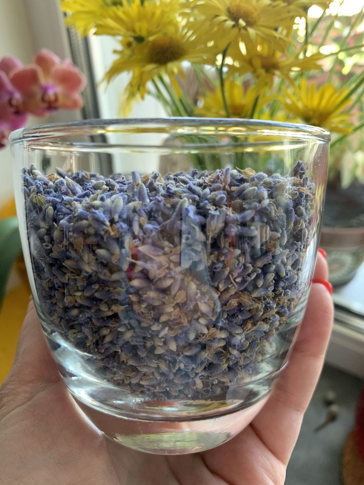 Квіти лаванди висушені, екологічно чистий продукт