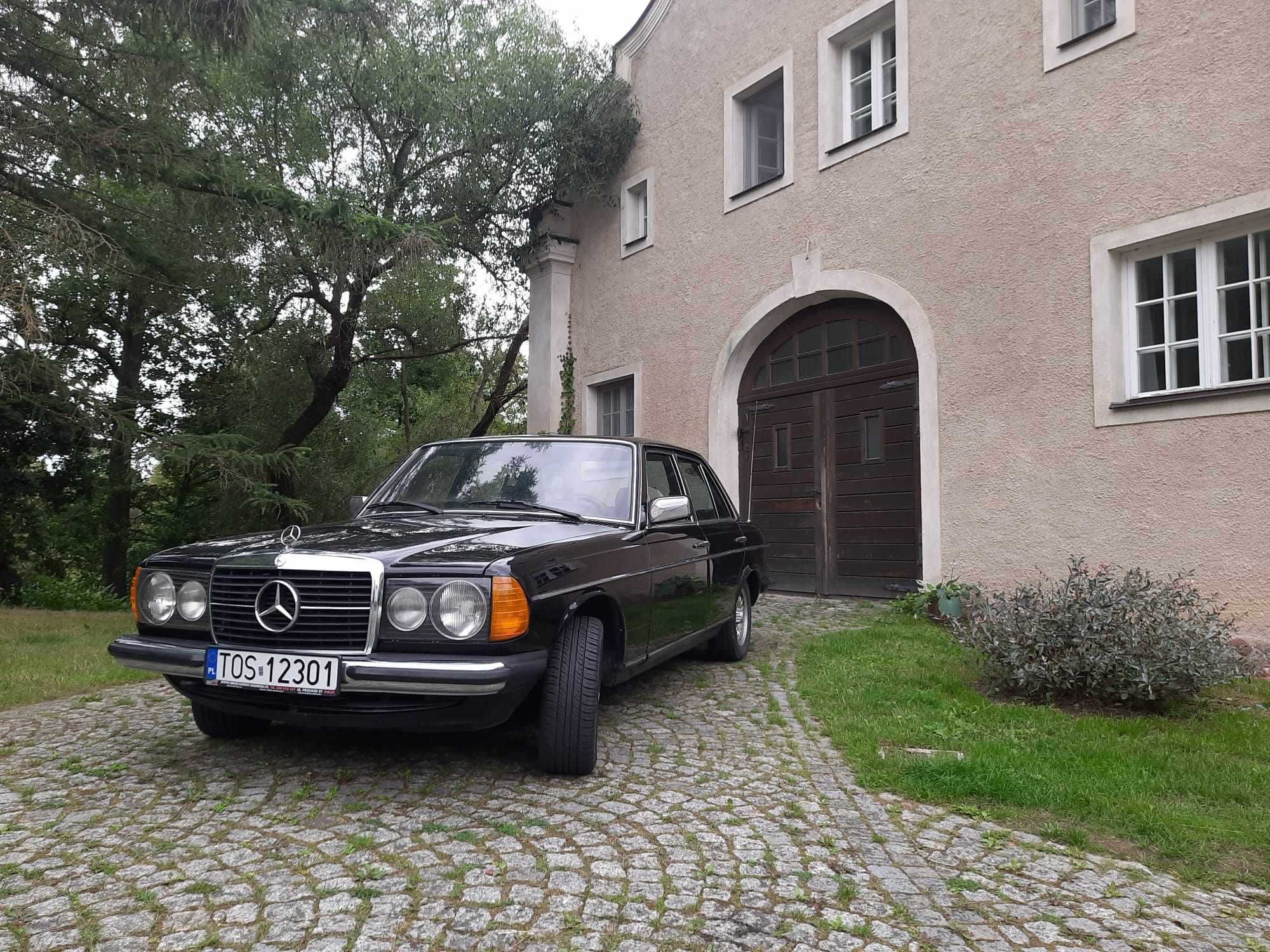 Mercedes 123 klasyk