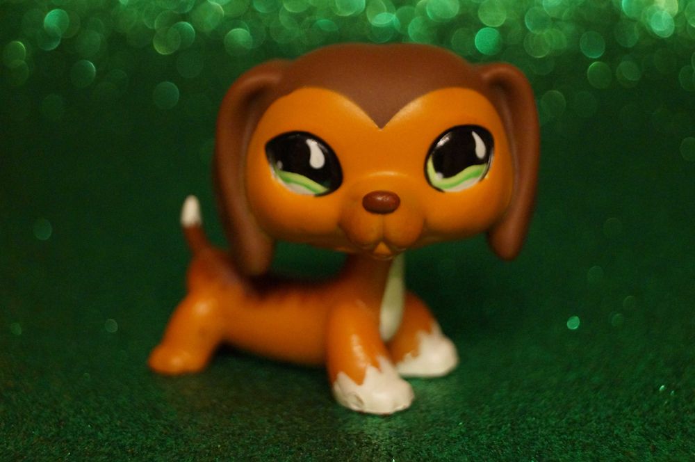 Littlest Pet Shop LPS jamnik #675 oryginalny pop Savannah