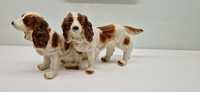 Porcelanowa figurka  spaniel Cavalier  Schwarzenbach  idealny stan