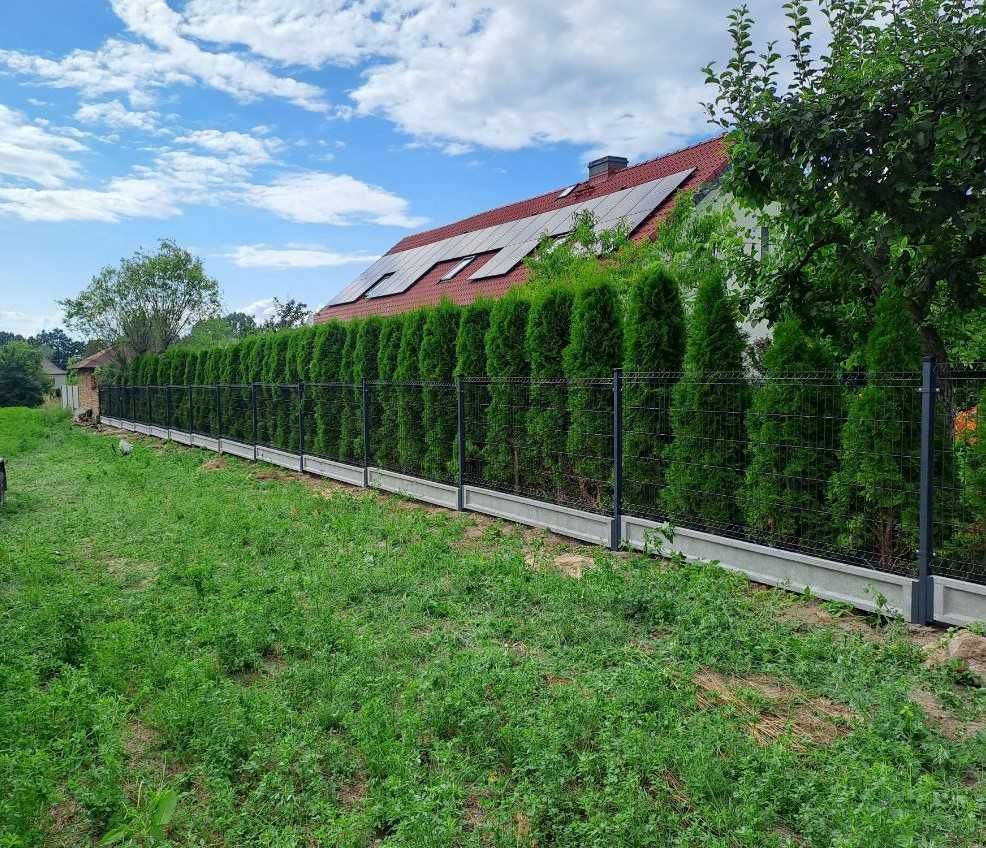 Producent Paneli Ogrodzenia 3D wysoka jakość dobra cena dostawa